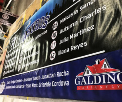 A banner featuring the roster of a team named Astros with players’ names and numbers, along with the names of the coaches and team mom. The banner includes a sponsor logo from Galdino Carpentry.